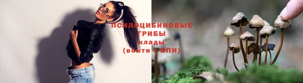 jwh Нефтекумск